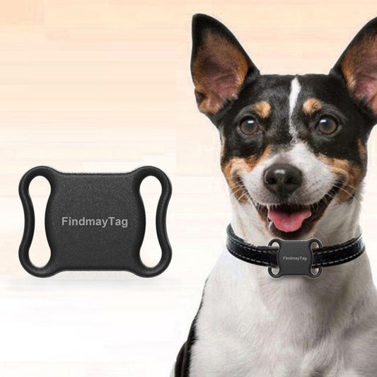 Smart GPS Pet Locator for Cats & Dogs - Compact & Lightweight (White/Black) - TailAura