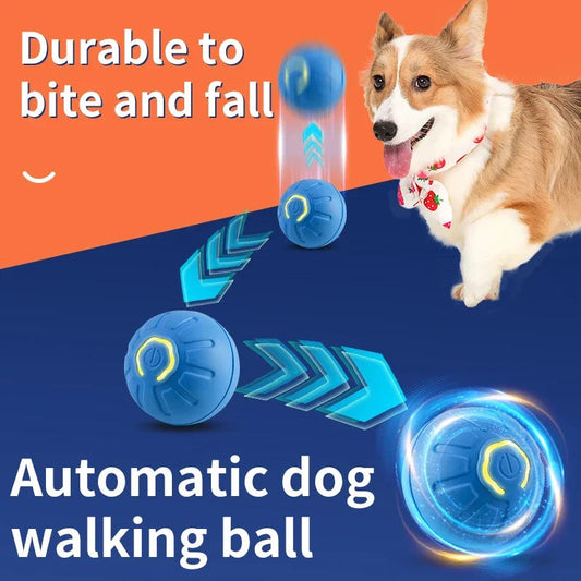 Smart Interactive Pet Toy Ball USB Rechargeable Fun for Dogs & Cats! - TailAura