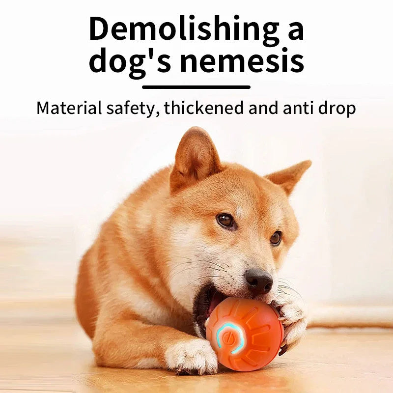 Smart Interactive Pet Toy Ball USB Rechargeable Fun for Dogs & Cats! - TailAura