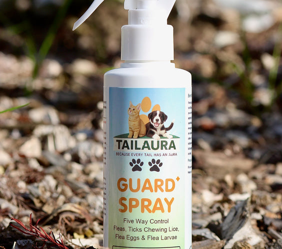 TailAura™ GUARD+ Botanical Spray for Flea & Tick Control - TailAura -  -  TailAura